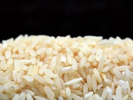 Scientists from Pakistan and China have jointly developed a new hybrid variety of rice.