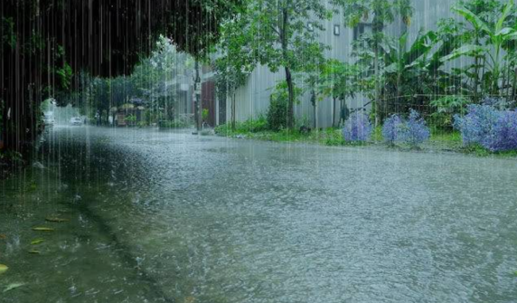 Seventh spell of monsoon rains likely to begin in Punjab from today