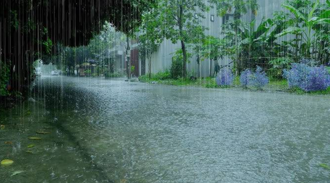 Seventh spell of monsoon rains likely to begin in Punjab from today