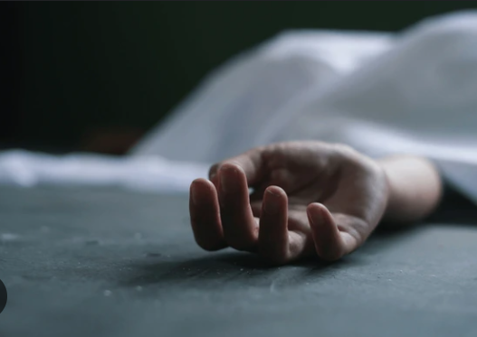 Son kills father and two sisters in Twin Cities