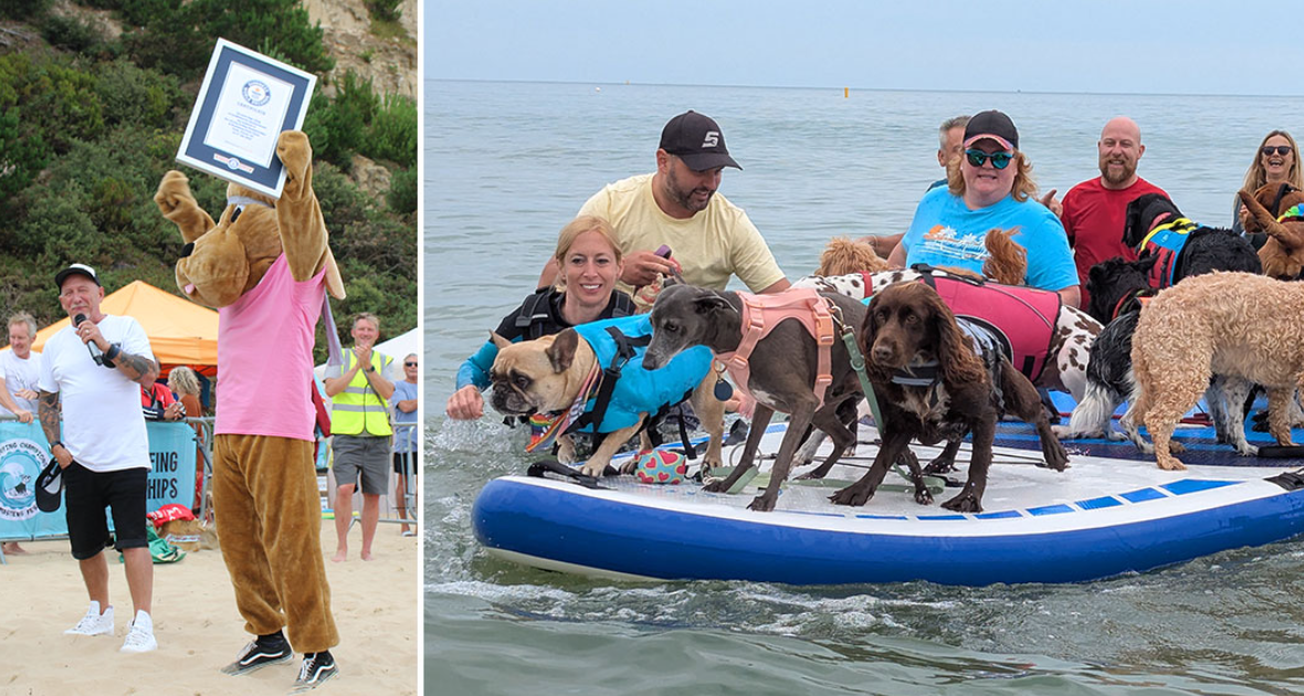 Surfing dogs in the UK set three world records at once