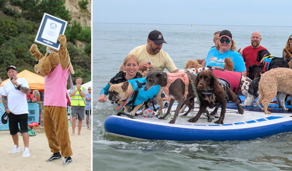 Surfing dogs in the UK set three world records at once