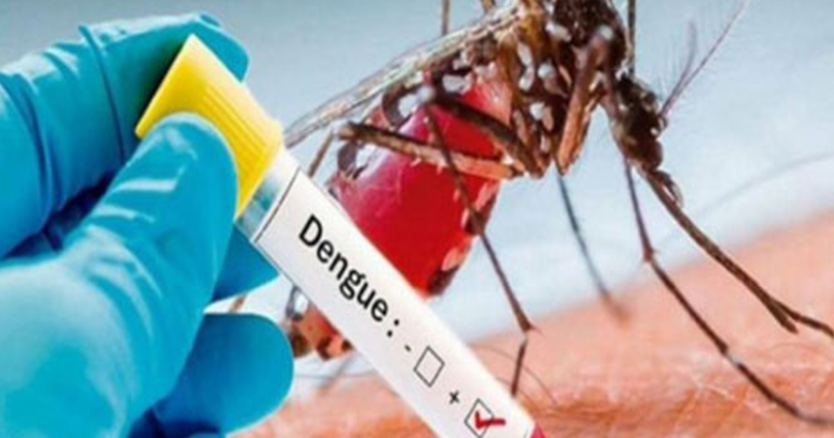 The number of dengue patients in Rawalpindi has increased to 34