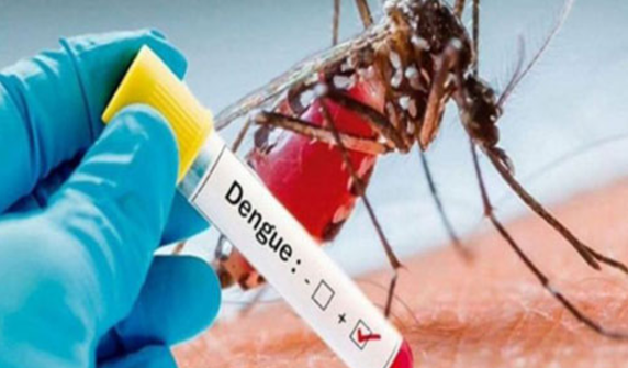 The number of dengue patients in Rawalpindi has increased to 34