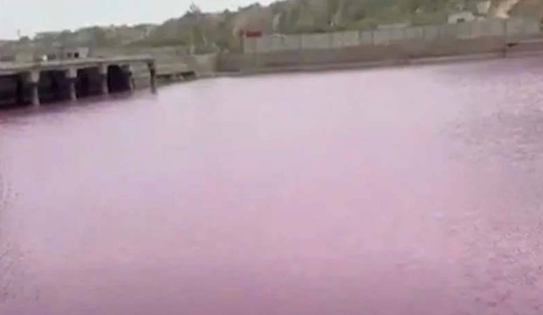 The sea at Gadani Jetty turned a surprising pink color
