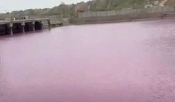 The sea at Gadani Jetty turned a surprising pink color