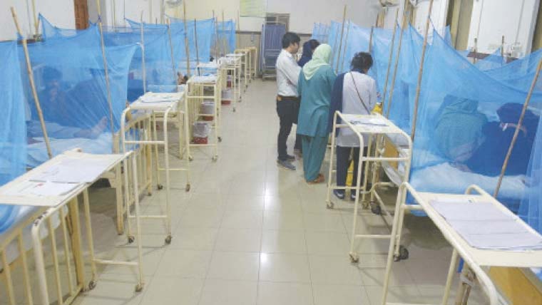 The total number of dengue cases in Rawalpindi has reached 34.