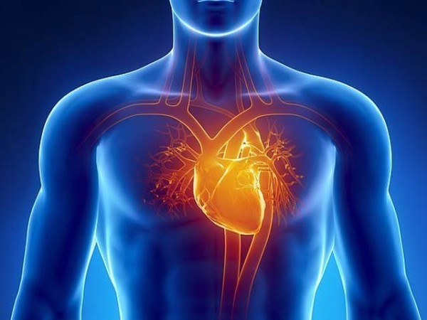 Your heart can be 10 years older or younger than you