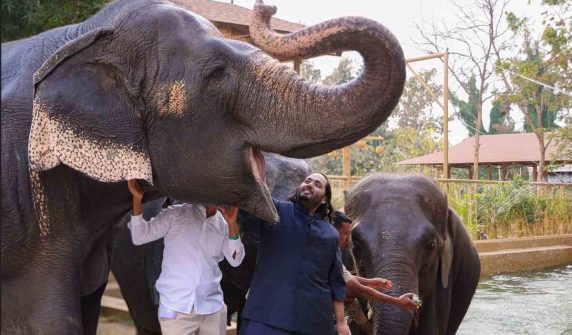 large animals exposed