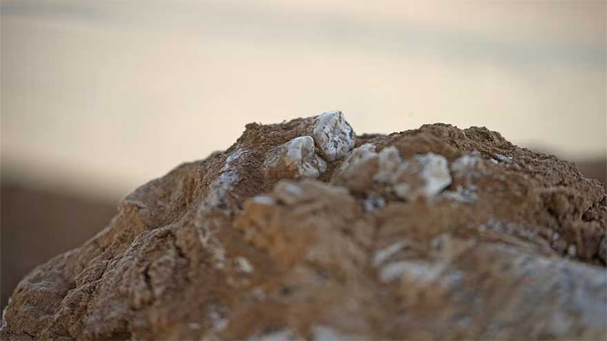 1.8 million-year-old human jaw discovered in Georgia