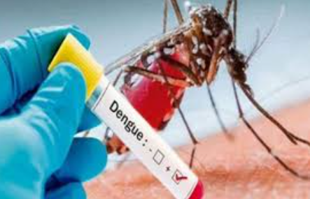 19 more dengue cases reported in Islamabad and Rawalpindi