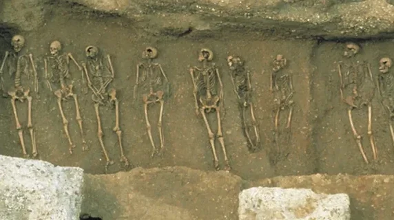 Cause of world's first recorded pandemic discovered
