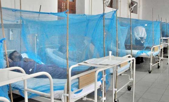 Dengue is out of control in Rawalpindi.