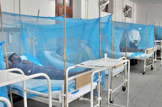Dengue is out of control in Rawalpindi.