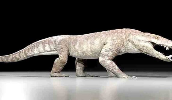 Dinosaur-era crocodile remains discovered in Patagonia