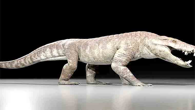 Dinosaur-era crocodile remains discovered in Patagonia