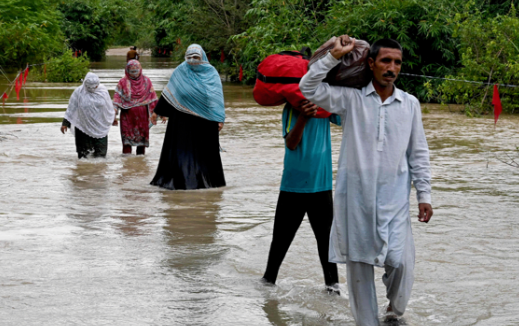 Flood disasters likely to lead to vegetable shortages and price increases