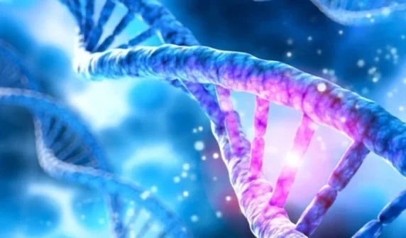 Genetics play a major role in cancer risk