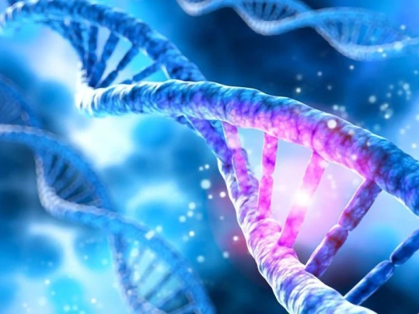 Genetics play a major role in cancer risk