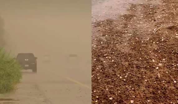 Rain in Al Ain, Abu Dhabi,