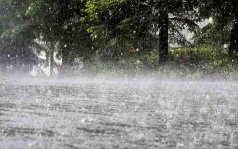 Rains predicted in Punjab till September 5