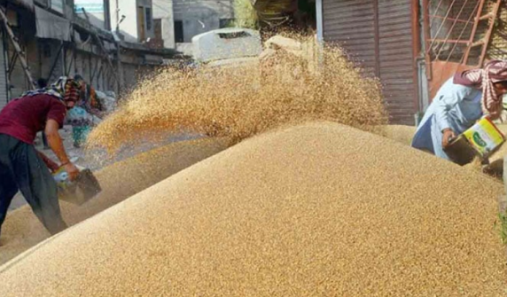 Section 144 imposed in Punjab to ensure supply of wheat and flour