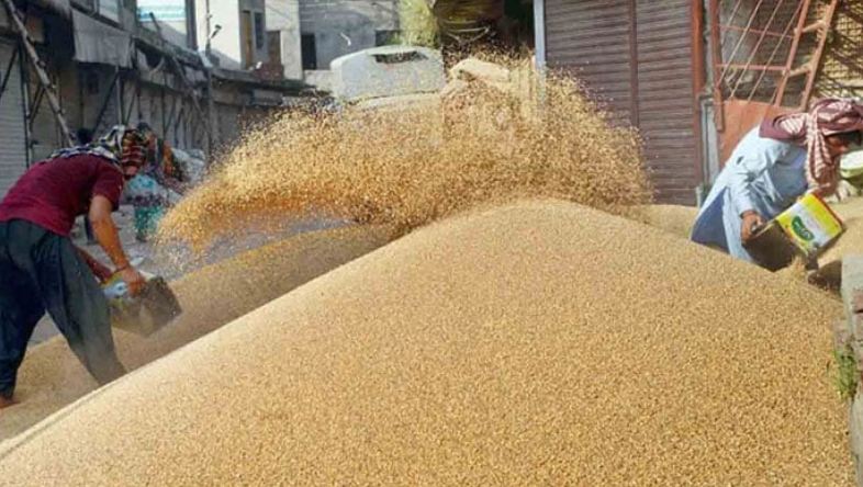 Section 144 imposed in Punjab to ensure supply of wheat and flour