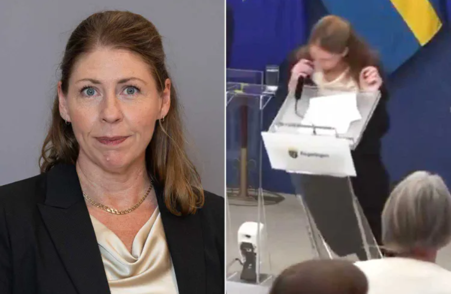 Sweden's health minister faints during press conference hours after being sworn in