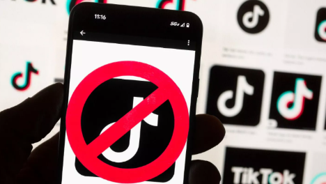 Resolution to ban TikTok submitted in Punjab Assembly