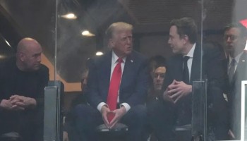 Trump and Musk exchange smiles
