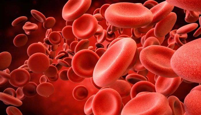 What are the dangers of having too much iron in the body