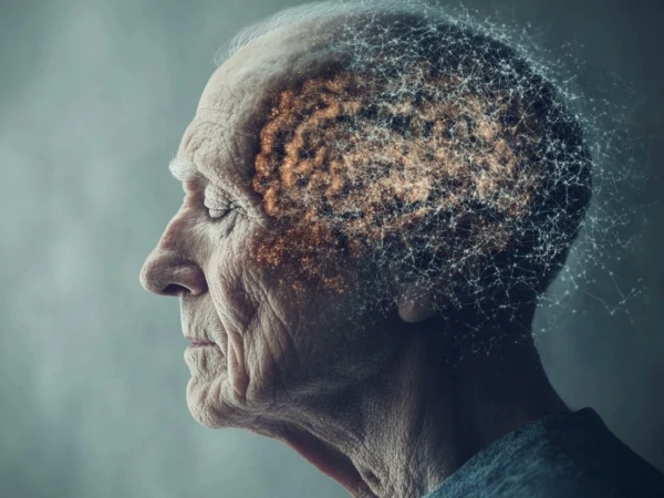 Why does the brain weaken with age