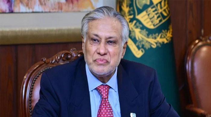 Pakistan welcomes Western countries