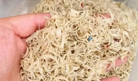 practice of selling cut nails