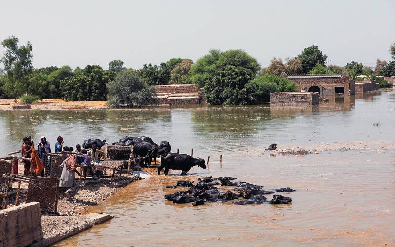 the floodwaters hit the Larkana-Sehwan Dam
