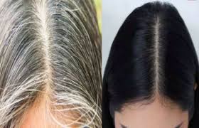 turn white hair black invented in China