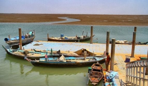 Sindh government decides to establish mini fish