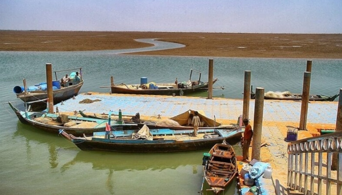 Sindh government decides to establish mini fish