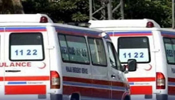 6 killed in collision between passenger coach and truck