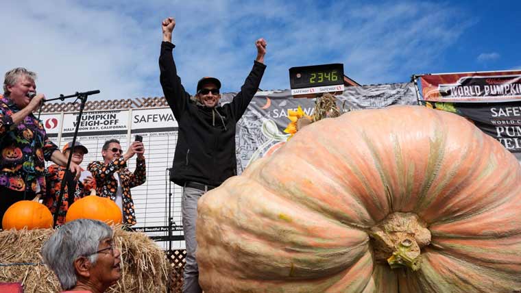 Gardening enthusiast wins heaviest pumpkin growing competition