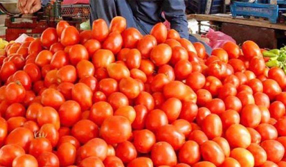 Tomato shortage caused by heavy rains