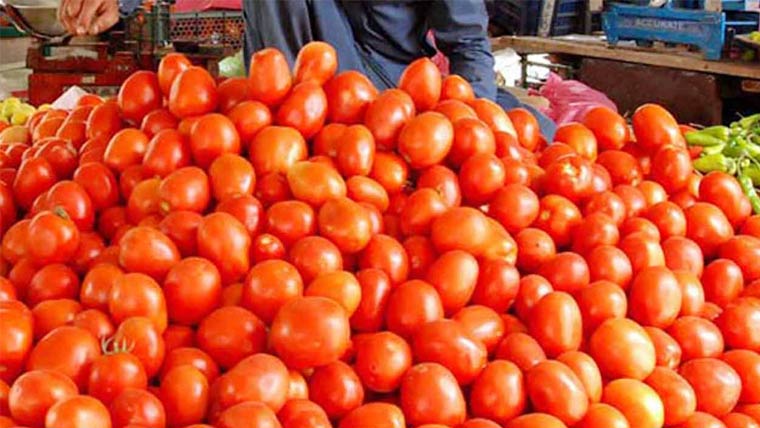 Tomato shortage caused by heavy rains