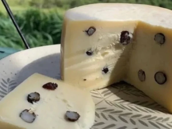 A famous Brazilian cheese