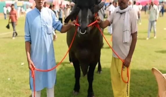 Bull 'Vadhyak' worth crores of rupees