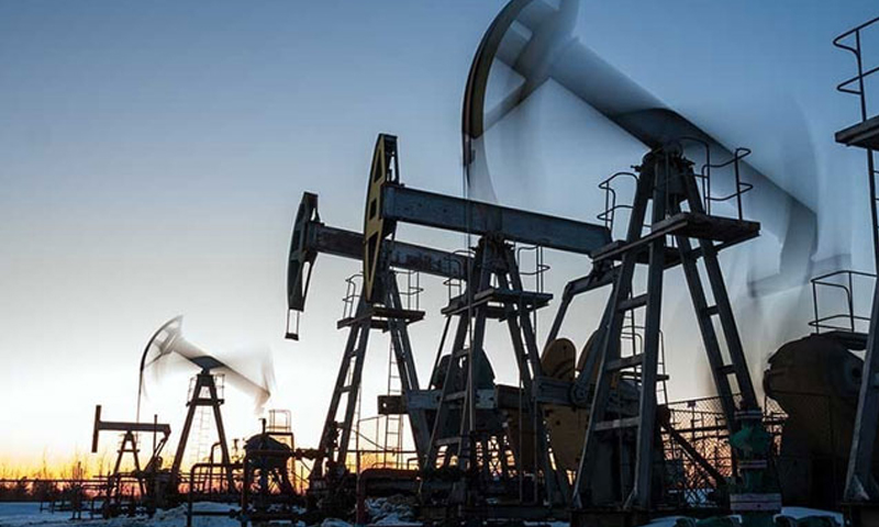 Gas and crude oil reserves discovered