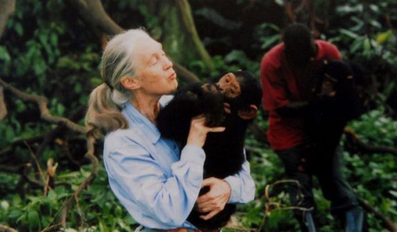 Jane Goodall, the animal survivalist