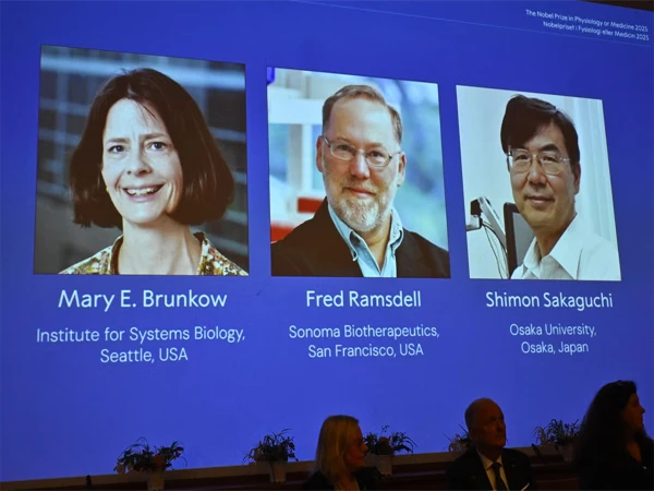 Japanese and American scientists