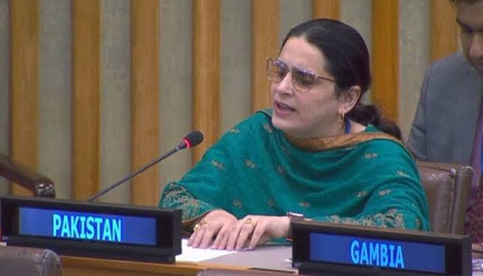 Pakistani envoy to the UN gives a befitting reply to India