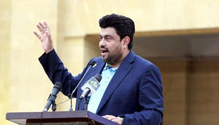 Sindh Governor