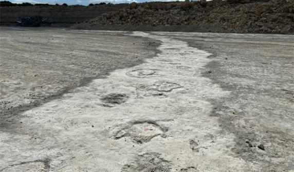 The biggest discovery of dinosaur footprints